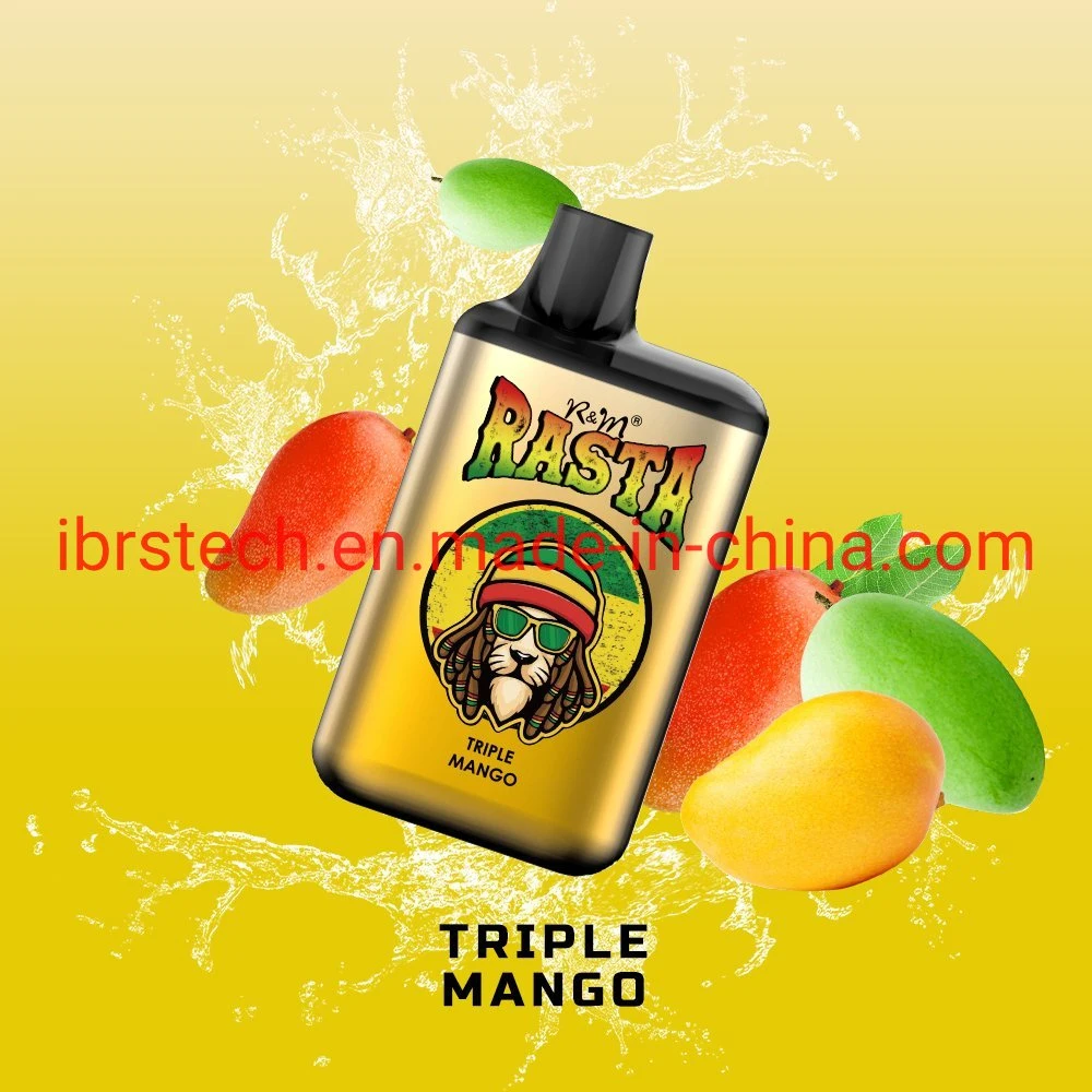 Usa Popular Limited Version 5500puffs R&amp;M Rasta lápiz desechable VAPE E Cigarette Mayorista/Proveedor