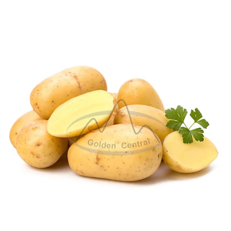 Fábrica de patata Precio para Mayorista/Proveedors patatas a granel de alta calidad Listo Para enviar