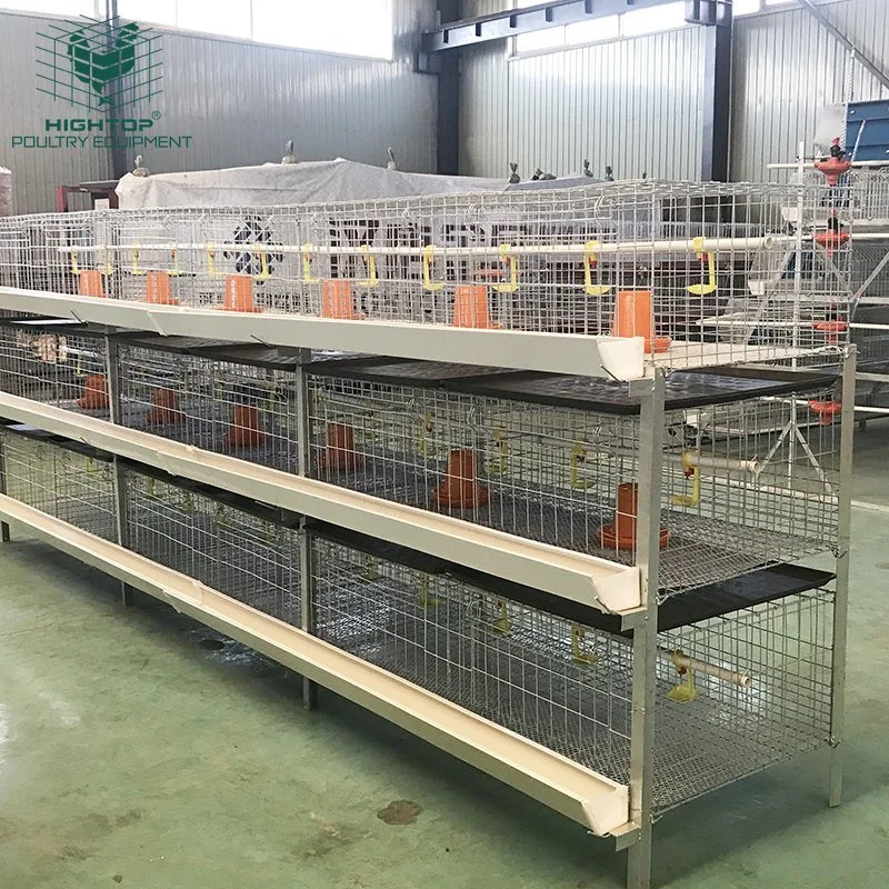 Large Poultry System Used Poultry Breeding Equipment Broiler Chicken Cage