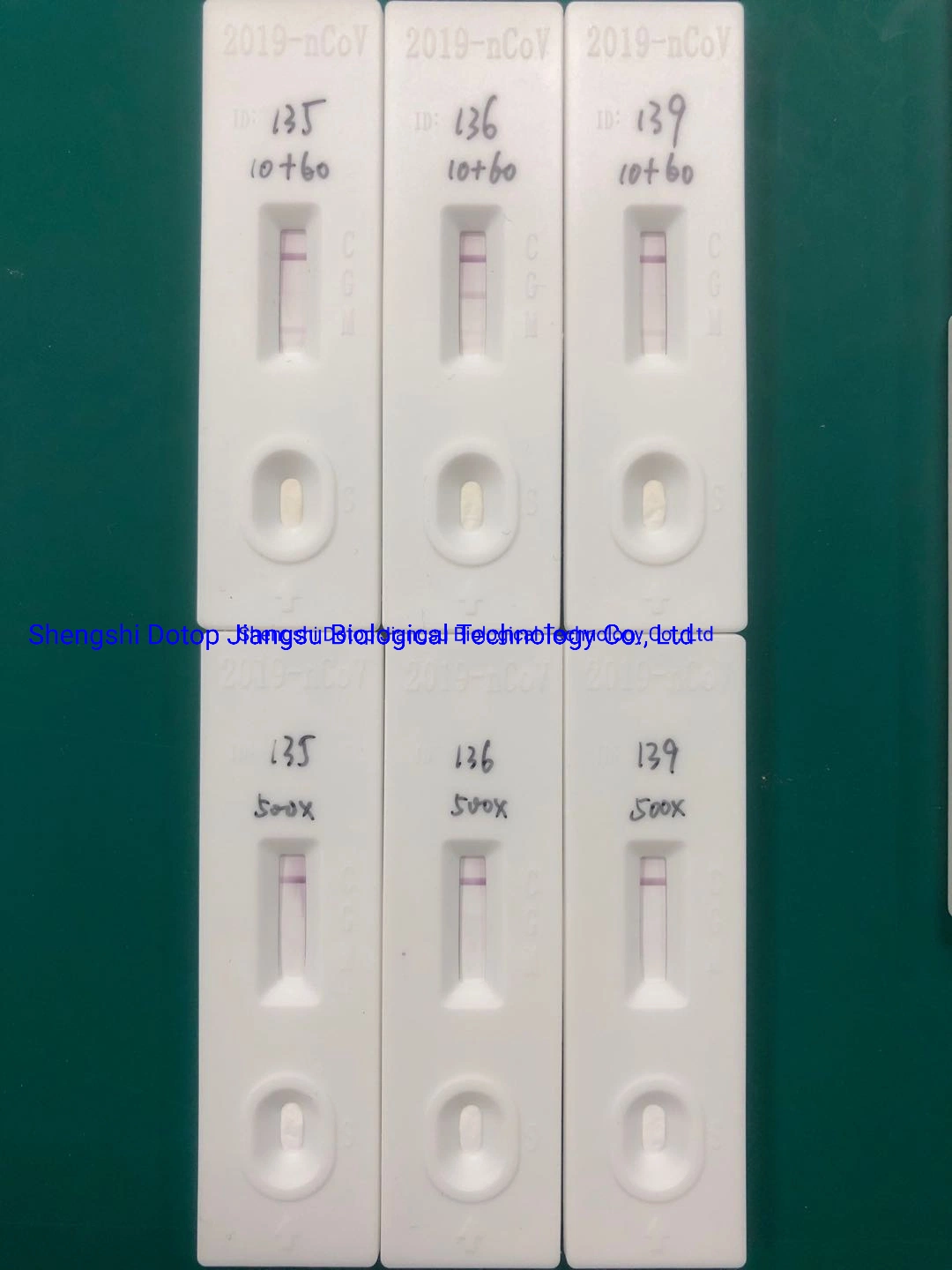 Kit de anticuerpos IgM IgG de detección rápida anticuerpo y detección rápida Detección cualitativa de tarjeta para IgG IgM