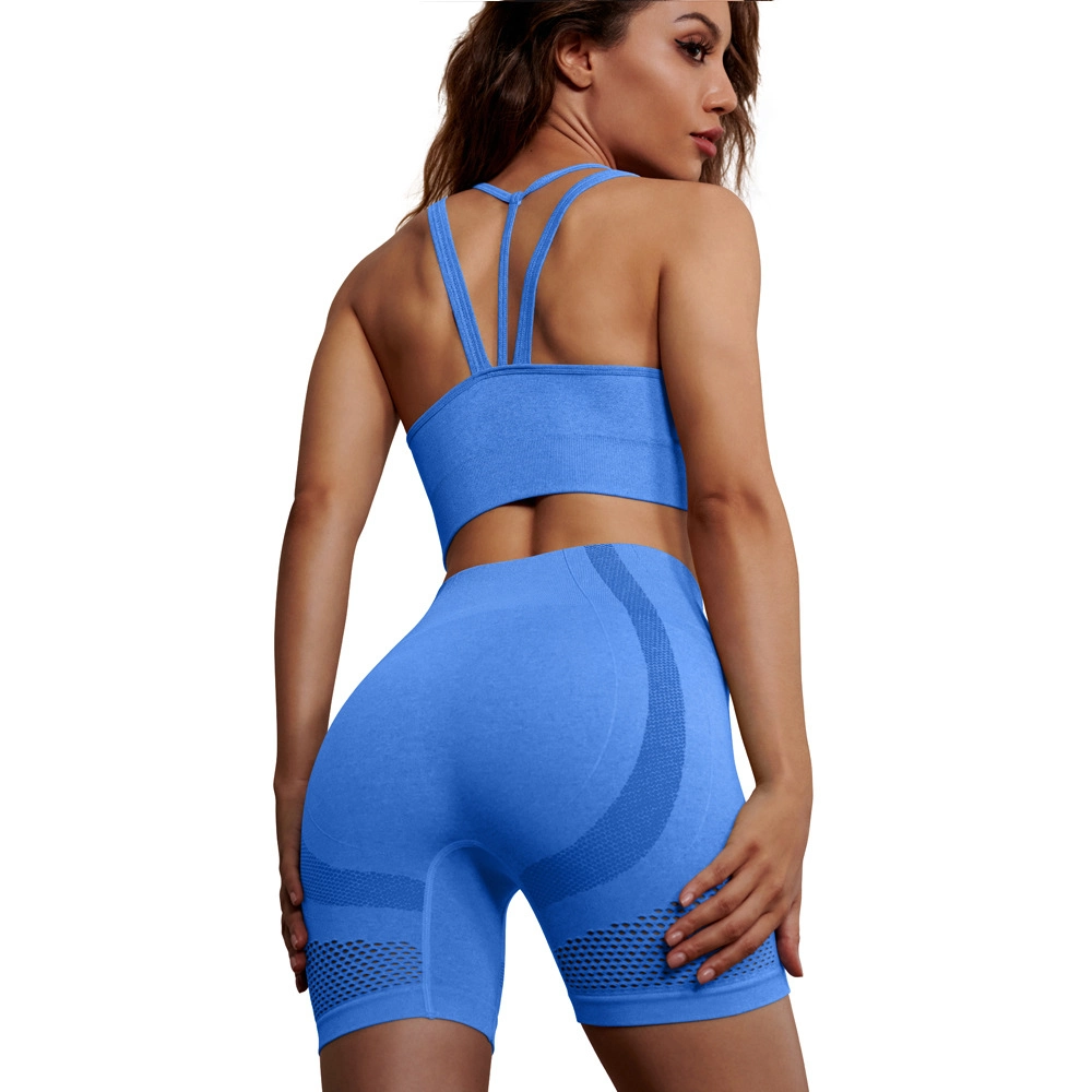 Women Seamless Sport Set 2022 Yoga Suit Tank Top High Waist Shorts Workout Outfit Fitness Apparel