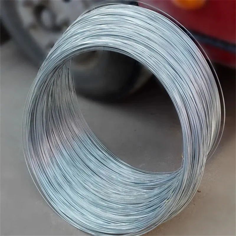 High quality/High cost performance  Control Cables Stainless Steel Wire Rope Galvanized Steel Wire 1*19 7*7 CD70 Brake Cable Inner Wirewith Die Casting