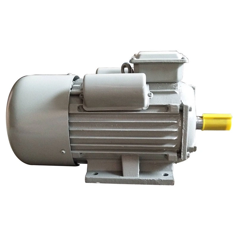 Three-Phase Induction Asynchronous Electric Motor