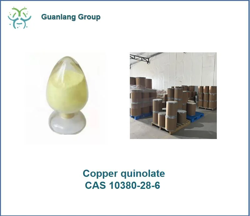 Factory Supply High quality/High cost performance  Copper Quinolate CAS 10380-28-6 with Best Price