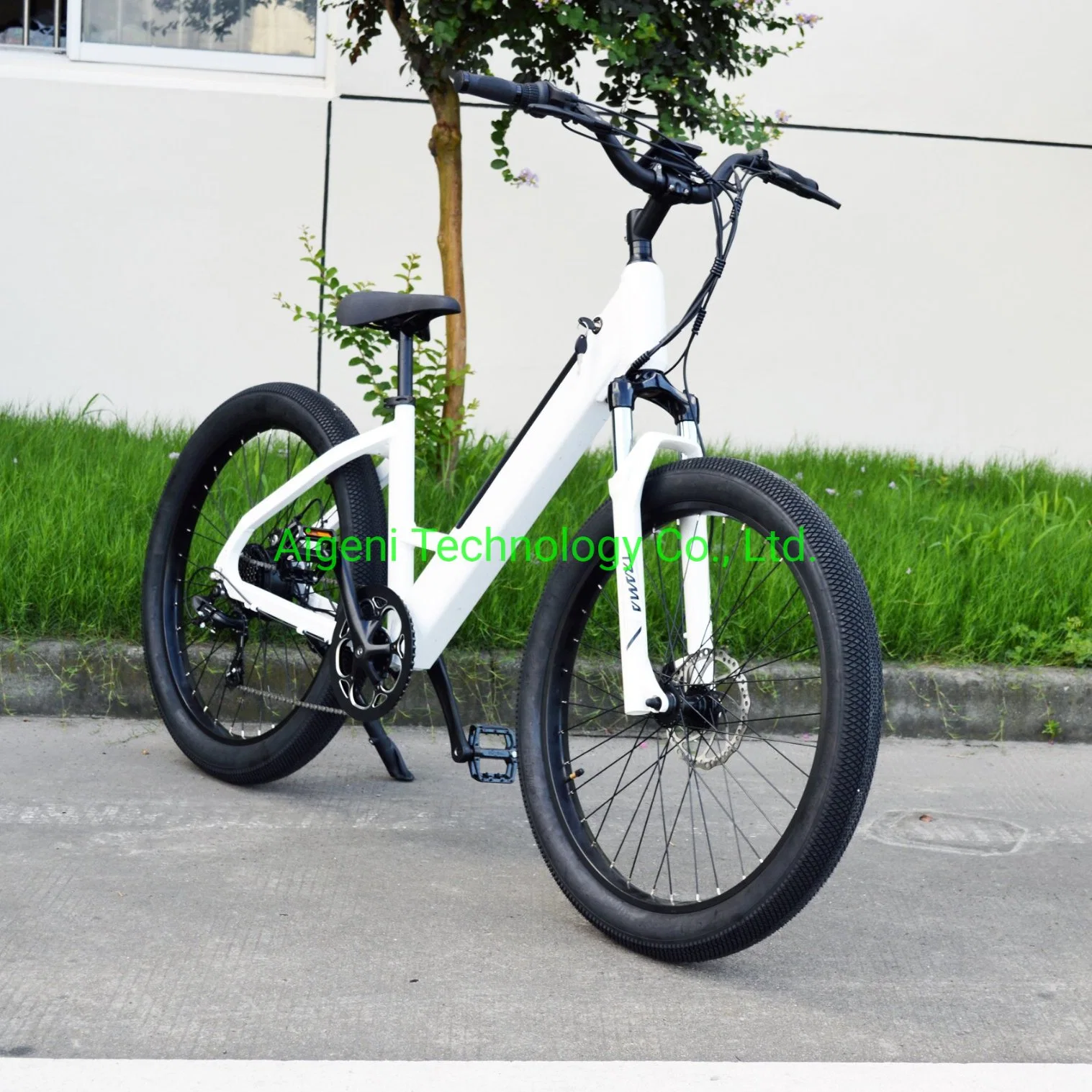 2021 Step Bike for Us Market Supermarket Electric Bike