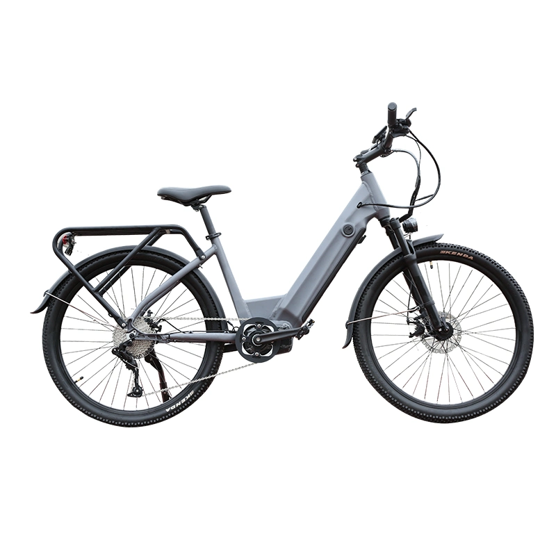 Brushless 350W Utility Ebike Mountain Bikes E Bicycle for Men Electric Bike