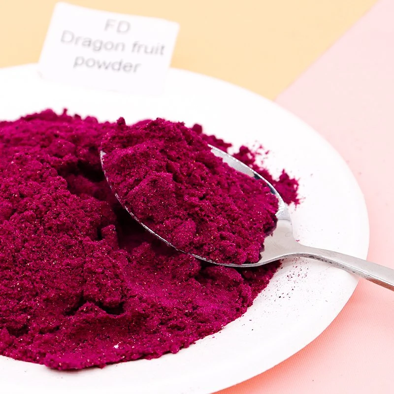 TTN 2023 Vente Nouveau produit Dragonfruit Red Dragon fruit Powder