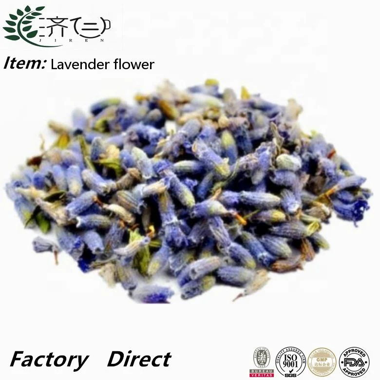 Popular al por mayor Lavanda Orgánica brotes de flores para el té de flores