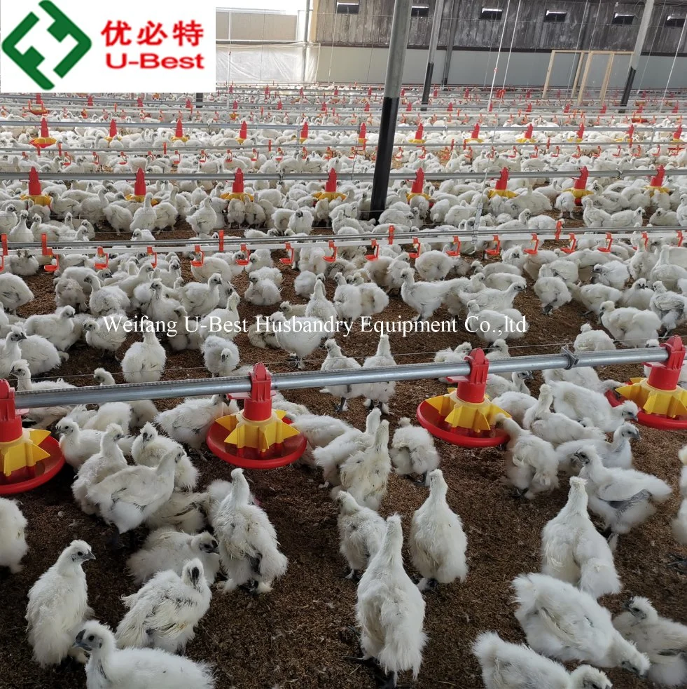 Low Price Small Scale Poultry Farming