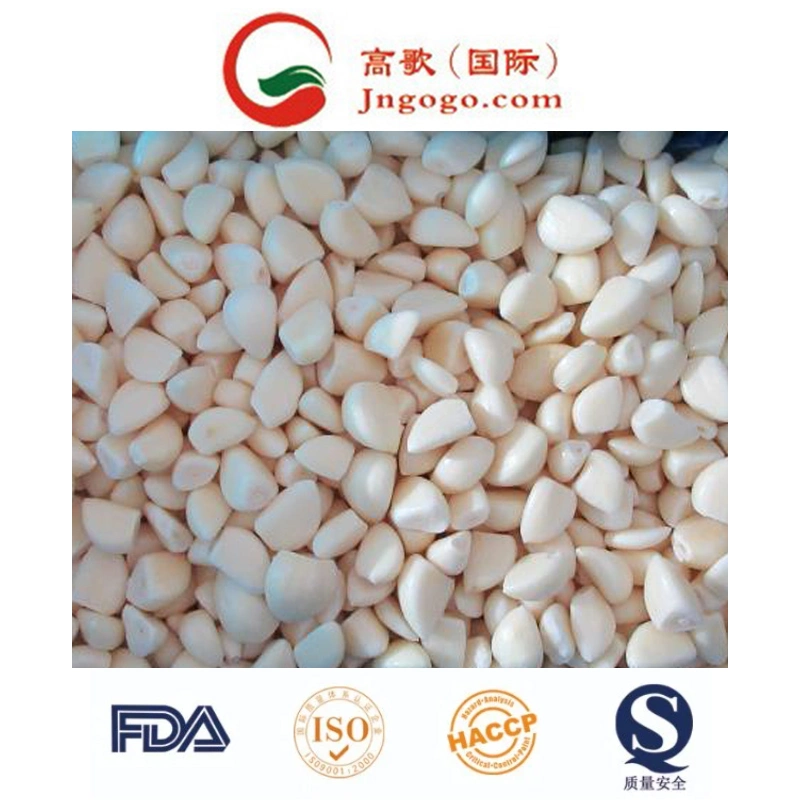 Frozen Chinese White Peeled Garlic and IQF Frozen Peeled Garlic