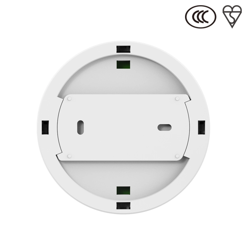Ce Approved Co Detector with LCD Display