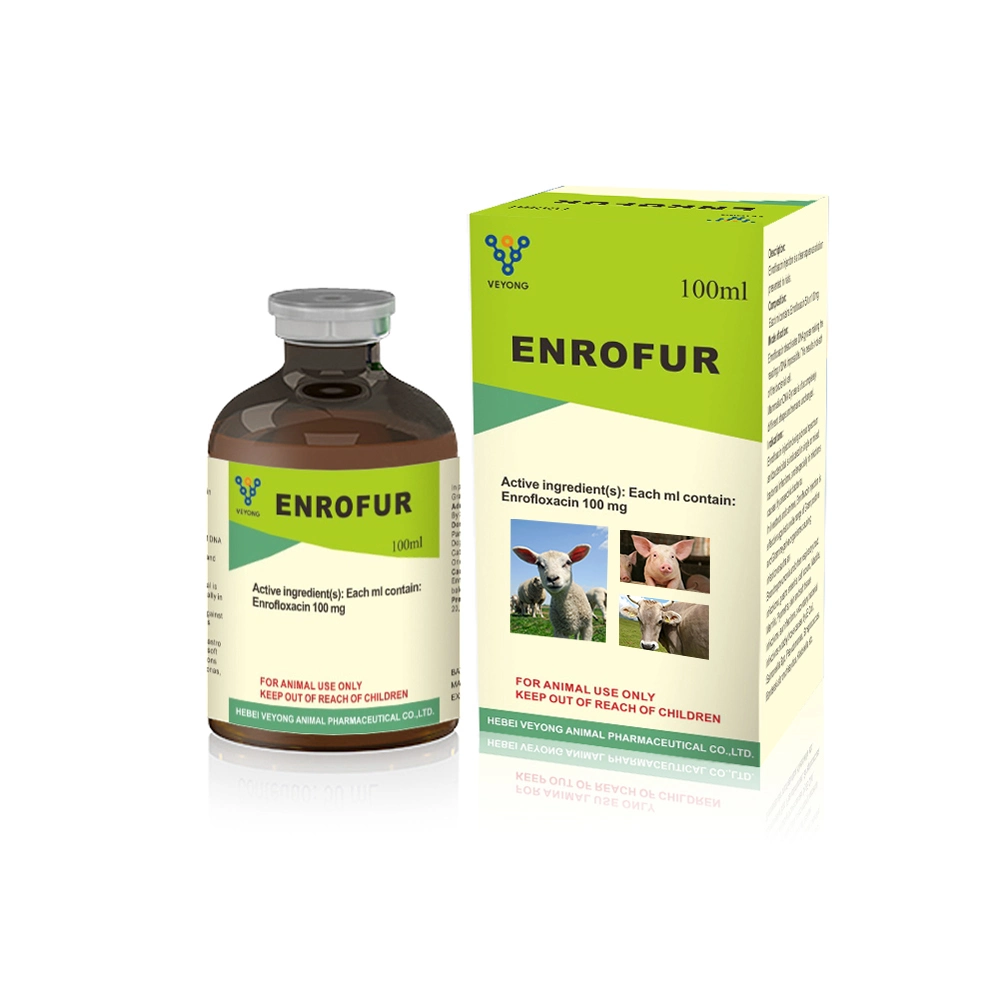 Medicina farmacêutica 10% Enrofloxacina Injection Solution drogas 100ml para Cow Ovelhas