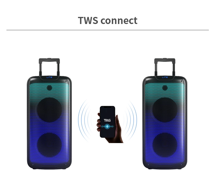 Temeisheng 2022 Venta caliente Alta Potencia Doble llama de 8 pulgadas Altavoz de la fiesta de la luz