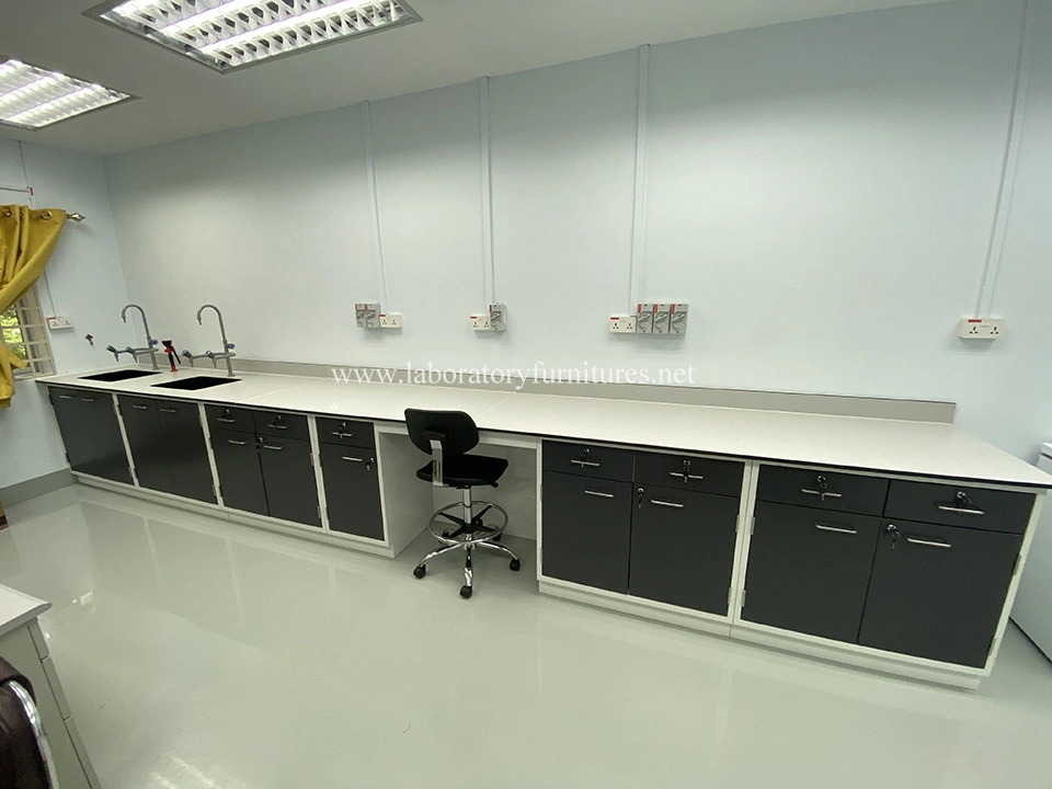 Professional School Chemistry Laboratory Furniture Supplier Jh-SL135