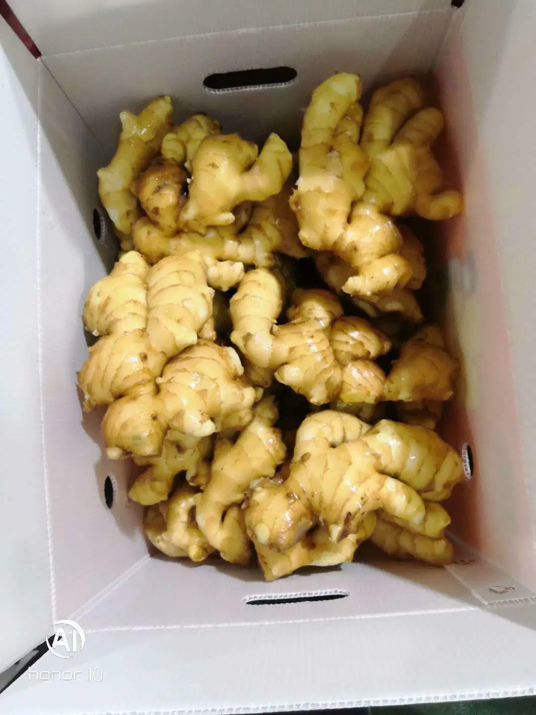 New Crop Factory Supplier Super Quality Air Dry Ginger of 2023 New Crop