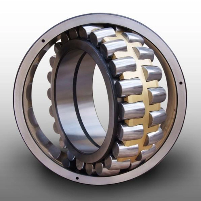 BS2-2316-2RS/Vt143 Spherical Roller Bearings Plastics Calenders