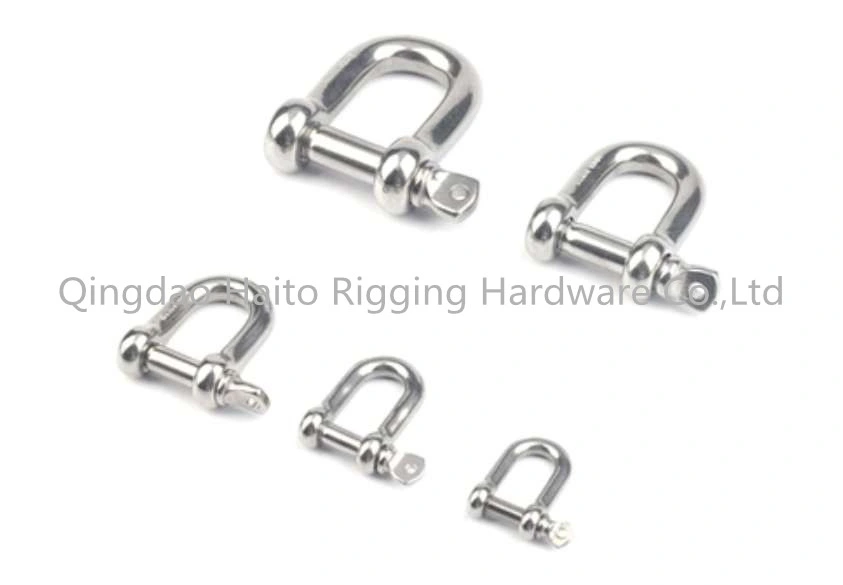 Stainless Steel European Type Dee Shackle 304/316 with Sale Online