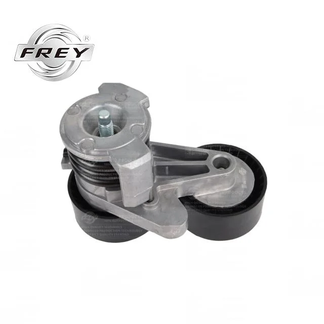 Frey Auto piezas de automóviles piezas de motor polea tensor OEM 11287565225 para BMW E70