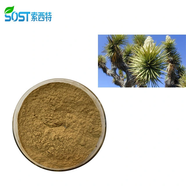 SOST China Product Wholesale Plant Powder Yucca Schidigera Extract