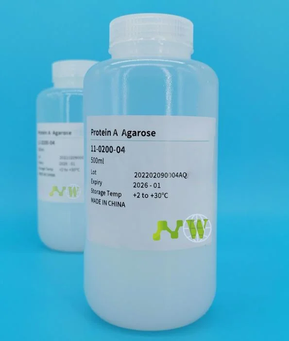 New Generation of Antibody Purification Media Protein G Agarose