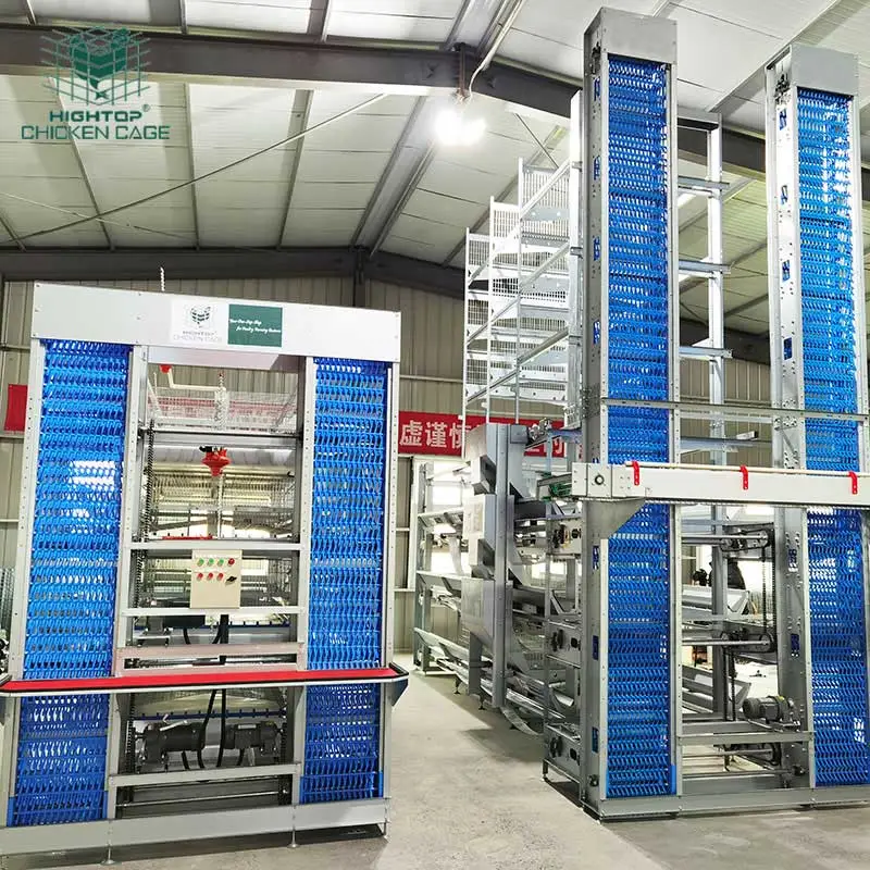 European Standard Four Layer H Type Fully Automatic Chicken Battery Cage System