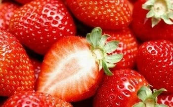 High quality/High cost performance  Freeze Dried Strawberry Chips with High quality/High cost performance 