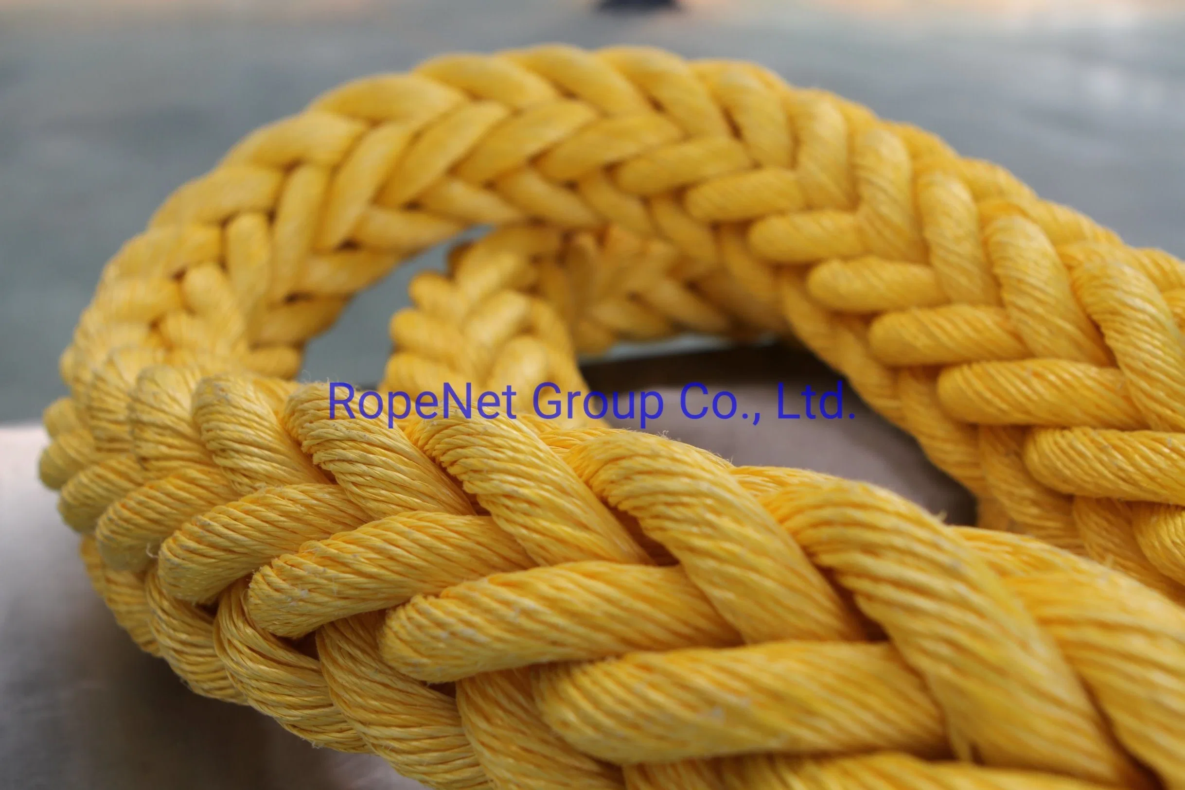 High Strength PP/PE Danline Braided Twine Nylon Mixed Polyamide Polyester Rope for Mooring and Fishing Tow Rope 3/8/12strand China