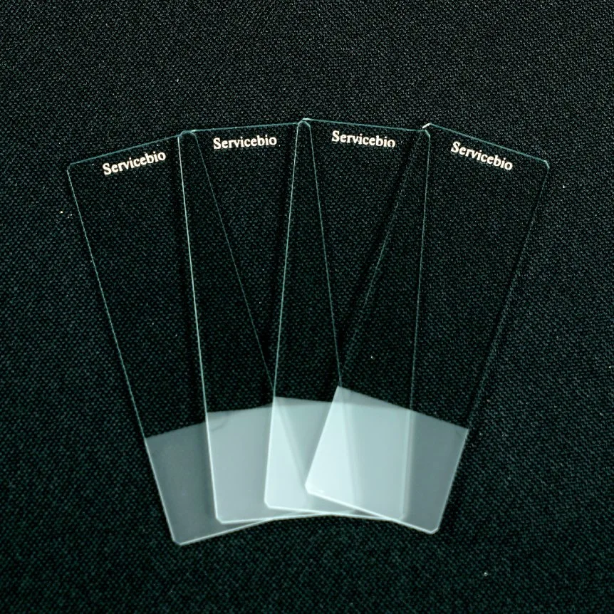 Adhesion Microscope Glass Slides Eight Sides Consumables