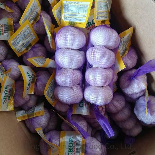 Wholesale/Supplier Fresh Garlic Chinese Supplier Shandong Garlic Fresh Dried White Garlic