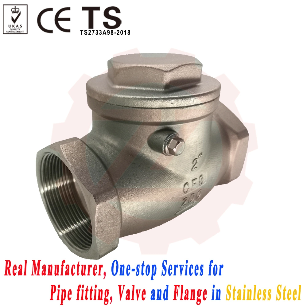 DN65 Stainless Steel Thread Lift Check Valve for Sump Pump