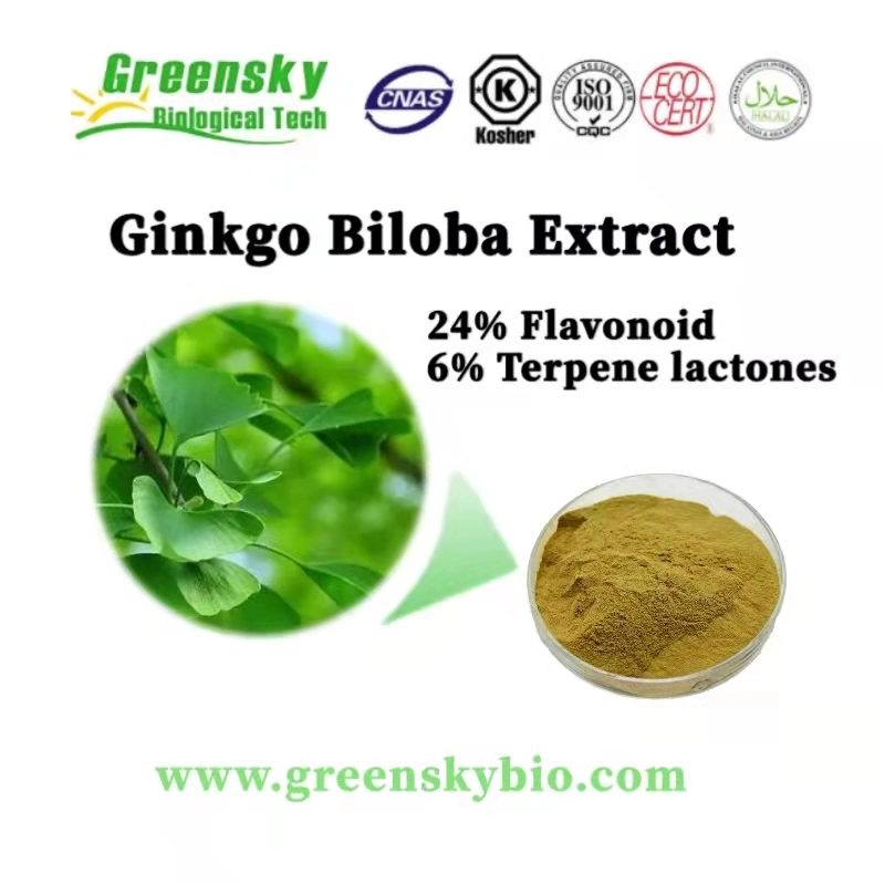 Ginkgo Biloba Extract 24% Flavonoid, 6% Terpene Lactones Ginkgo Biloga L. Yellow Brown Fine Powder High quality/High cost performance  Plant Extract Herbal Extract Pure Natural