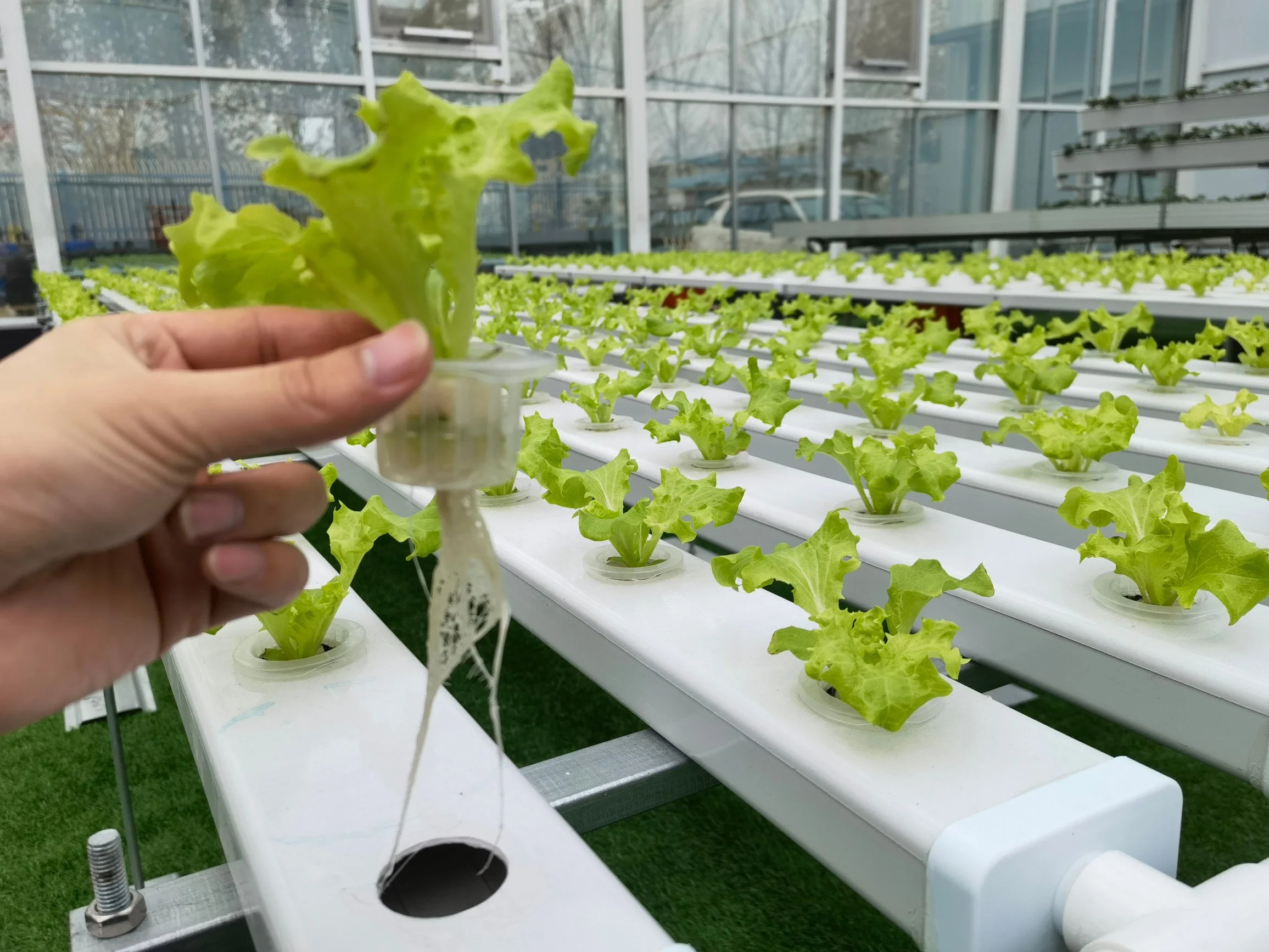 Agriculture Vertical Hydroponics Systems Farm Agriculture Nft Hydroponic Channel