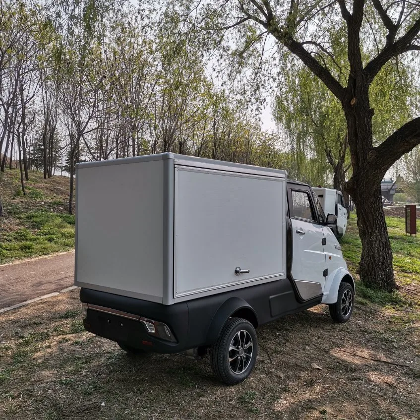 Elektrischer Transport Für Erwachsene