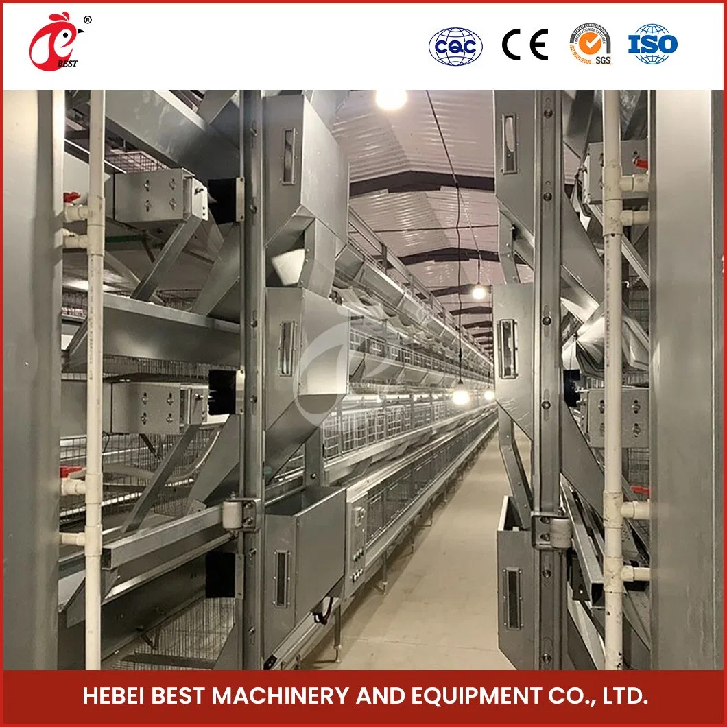 Bestchickencage China Walkin Chicken Coop Factory H Frame Automatic Boriler Cages Wholesale Wide Space Between Tie-Bars 24X50 Galvanized Wire Mesh Chicken Coop