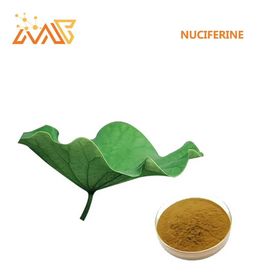 Geben Sie Lotus Leaf Extract Nuciferin 98% 475-83-2