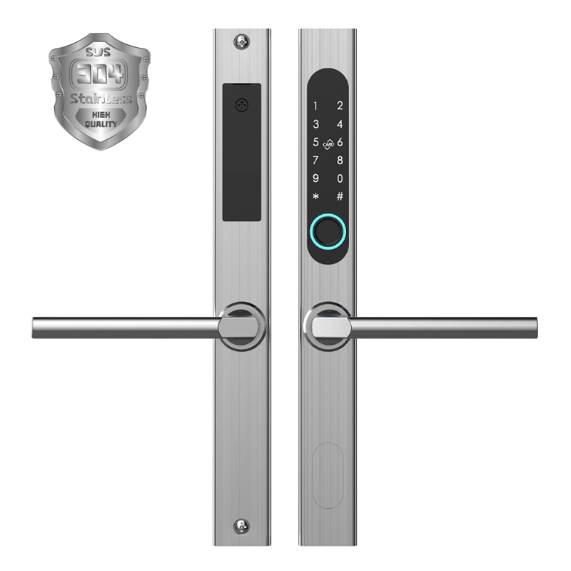 Poignée de porte en acier inoxydable SUS304 sans clé, intelligente, étanche au WiFi, avec serrure à empreinte digitale pour porte en aluminium mince.