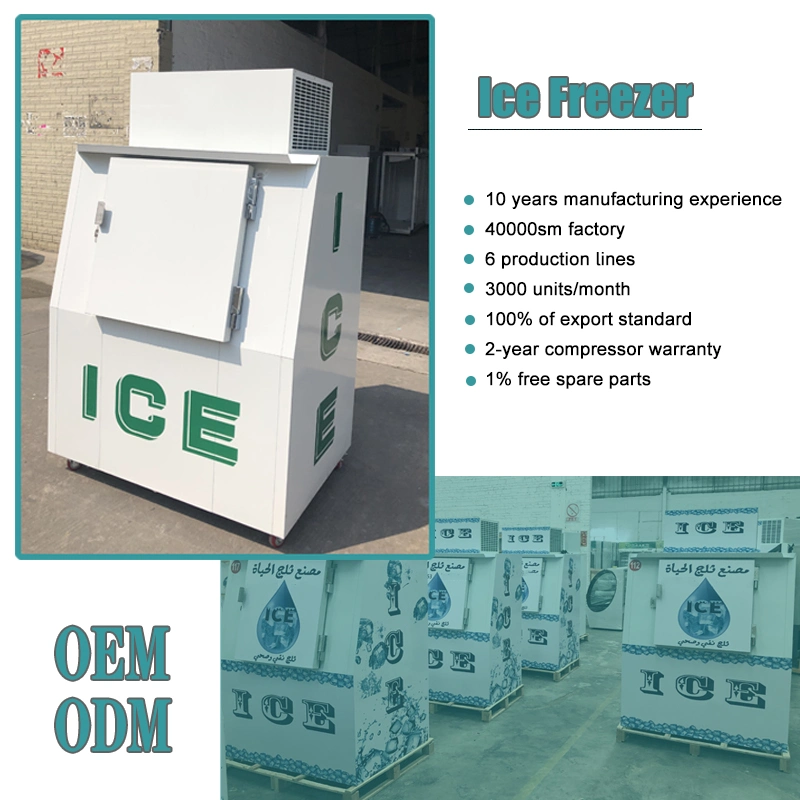 Bag Ice Storage Bin Indoor/Outdoor/Ice Merchandiser, Ice Shop Equipment with Slant Front - Auto Defrost