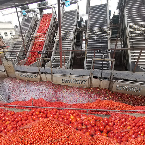 Norme européenne la pâte de tomate Brix 36-38 % Pause à froid