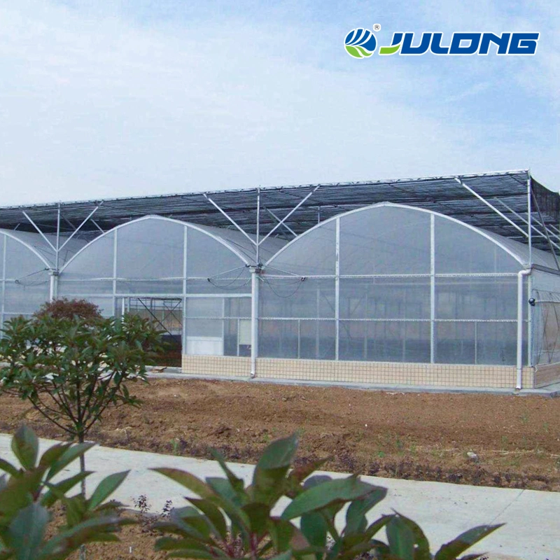 Commercial Hydroponic Greenhouses Multi Span Agricultural Green House for Vegetables Flower Fruits Tomato Strawberry Pepper Eggplant Garden