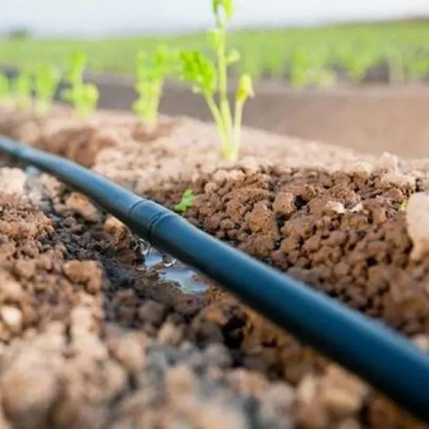 Drip Irrigation System Pipes Hoses for Greenhouse Farm