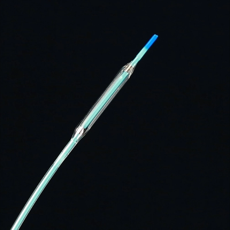 Low Profile Ptca Balloon Dilatation Catheter with FDA