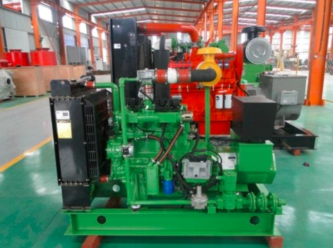 30kw Biogas Genset/Gas Generator Set 4105 Engine