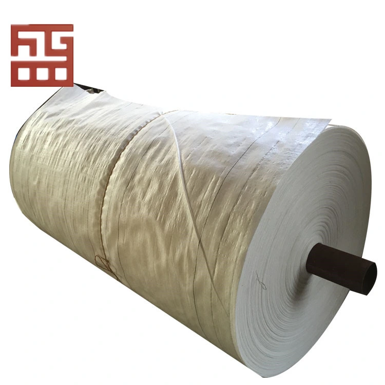 Hot Sale Customized Food/Agriculture/Industrial/Buiding PP Fabric Roll for Bulk Bag