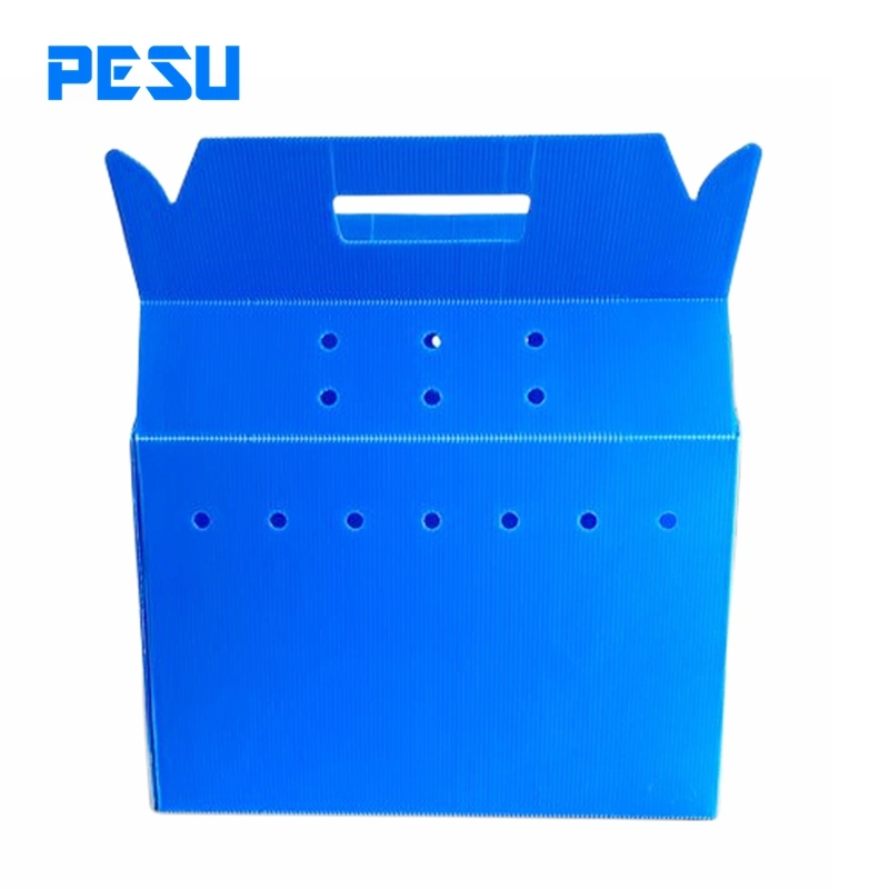 Custom Colored Corrugated Plastic Box Flexible Package Plastic Cardboard Box
