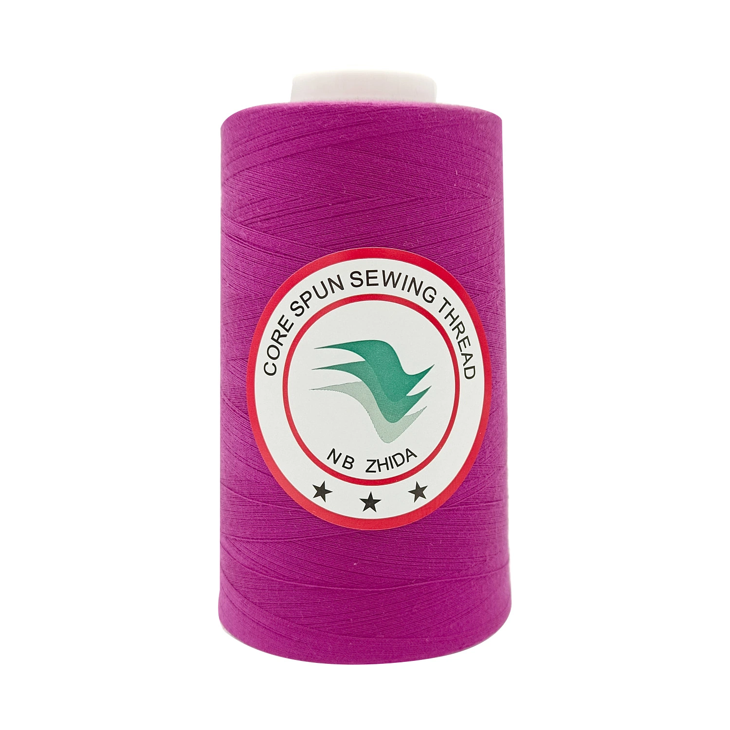 Fornecido de fábrica disponível High quaility 60s/2 Poly/Poly Core Sewing Rosca 800 g.