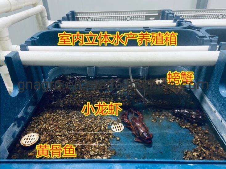 Indoor High Density Farming Crab Equipment