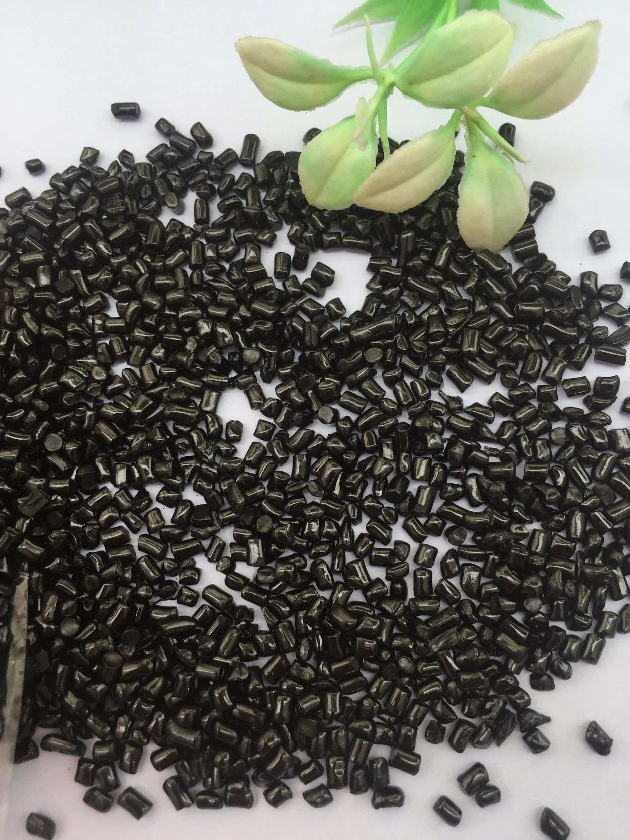 50% Black Color White Color Masterbatch for Injection Plastic