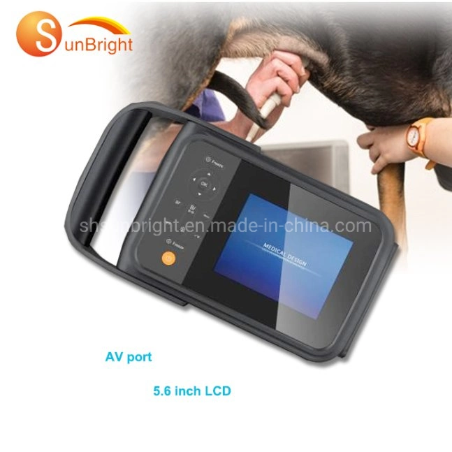 Small Size Promotion Handheld Ultrasound Machine Equipment Sun-808f Ultrasound Ultrasonication Processor