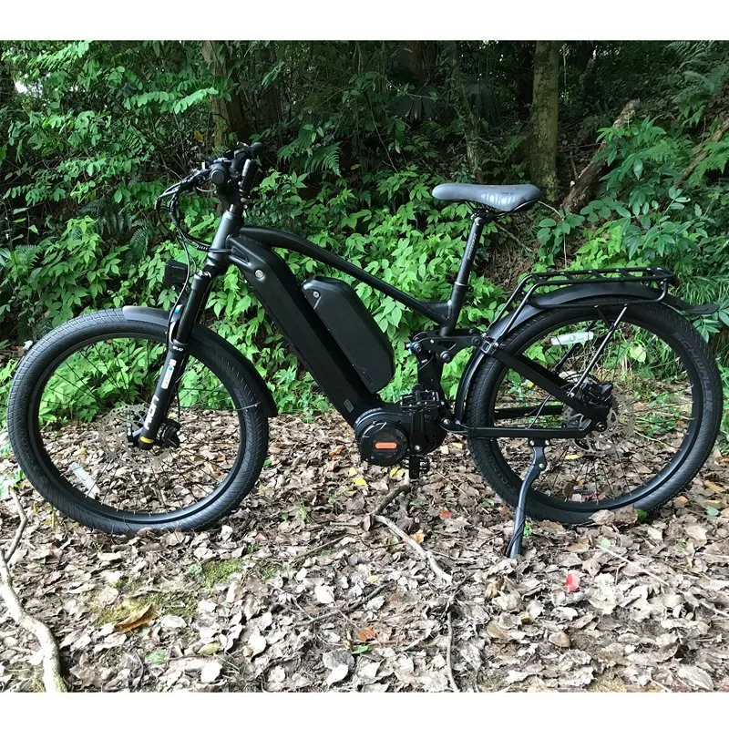 Dual Battery Endurable Fast Speed Mountain Electric Bicycle