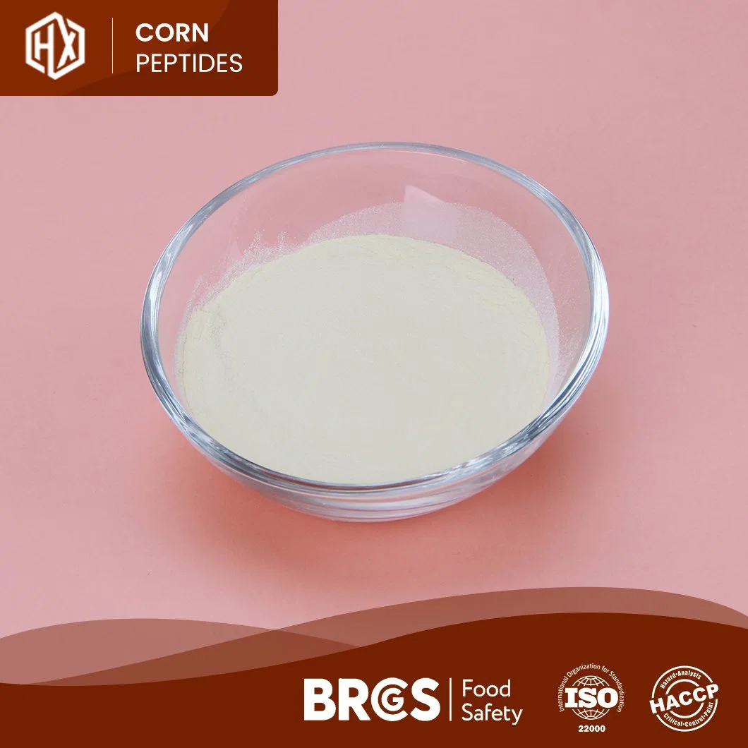 Haoxiang China Manufacturer Supply Organic Corn Protein Peptide Meal 46% 48% 50% Cornbean Protein Fiber Isolate Concentrate Powder Bulk High Purity Corn Peptide